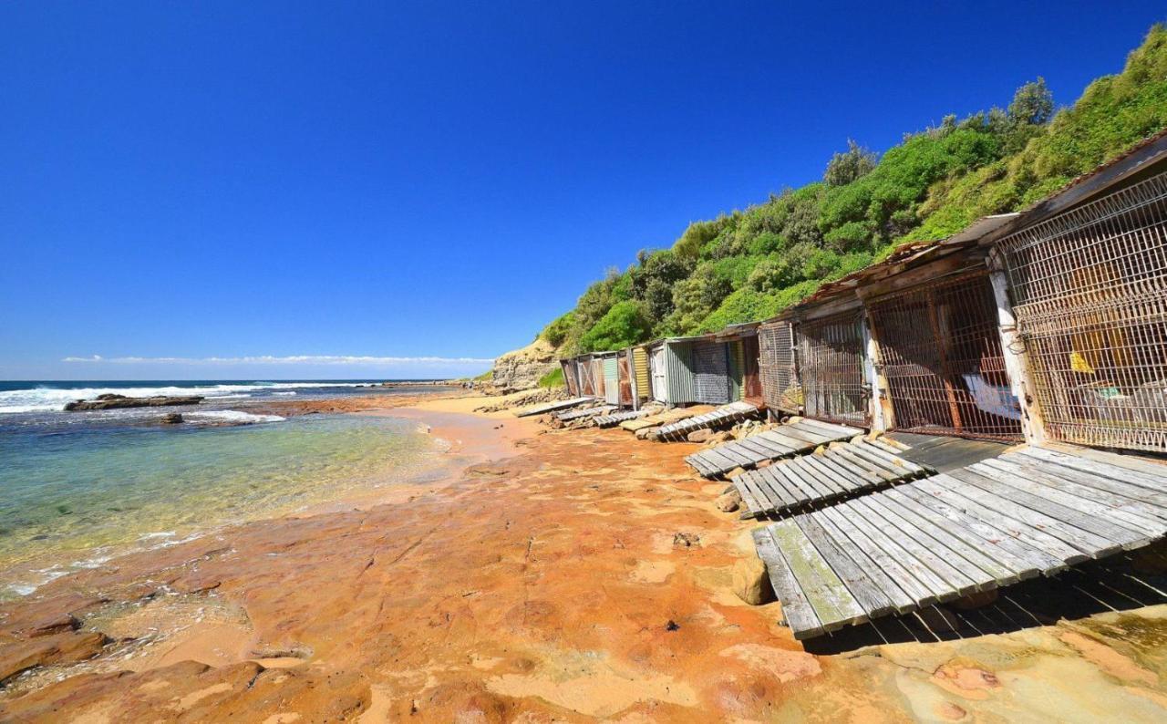 Sandon Point Coastal Abode Bulli Ngoại thất bức ảnh